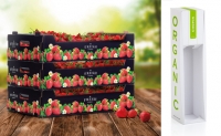 "White-Top-Kraftliner haben die Welt der Verpackungen revolutioniert" -